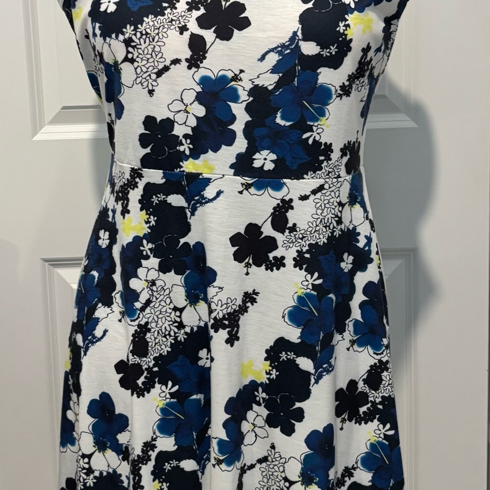 Floral Sleeveless Dress - Blue and White